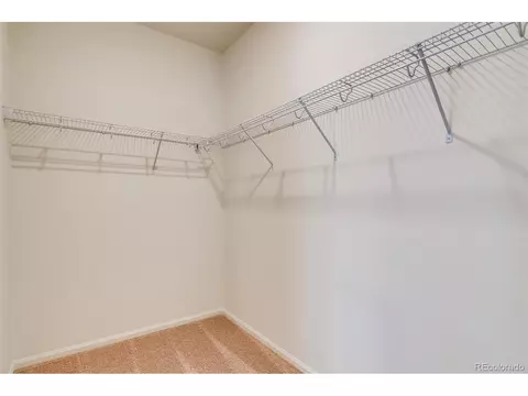 1262 Bakers Pass St, Windsor, CO 80550 photo 15