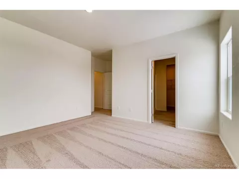 1262 Bakers Pass St, Windsor, CO 80550 photo 13