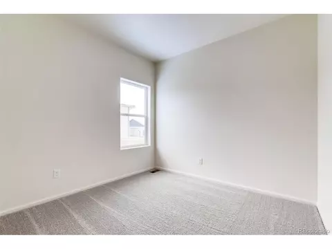 1262 Bakers Pass St, Windsor, CO 80550 photo 19
