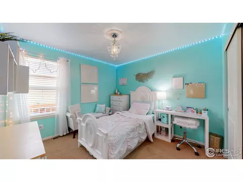 616 Lanley Dr, Windsor, CO 80550 photo 17