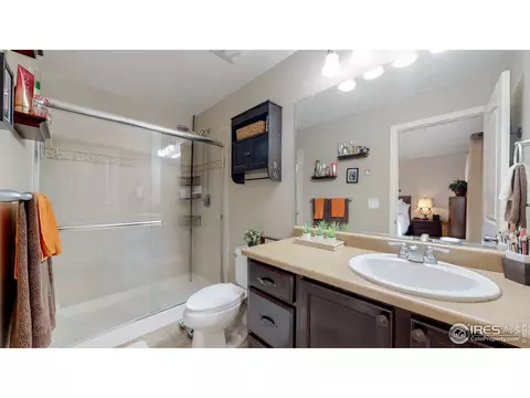 616 Lanley Dr, Windsor, CO 80550 photo 19