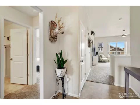 920 Mt Shavano Ave, Severance, CO 80550 photo 9