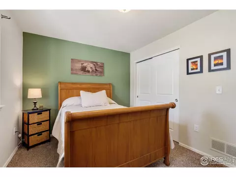 920 Mt Shavano Ave, Severance, CO 80550 photo 25