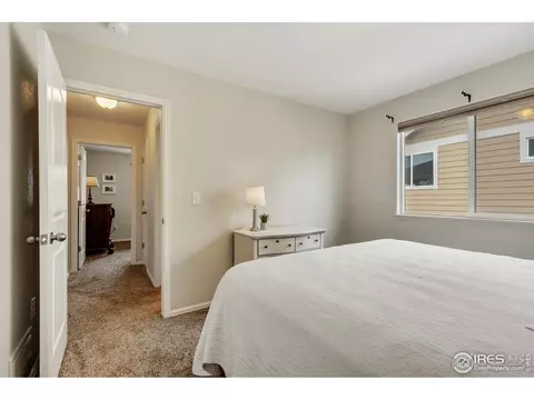 920 Mt Shavano Ave, Severance, CO 80550 photo 29