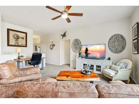 920 Mt Shavano Ave, Severance, CO 80550 photo 18