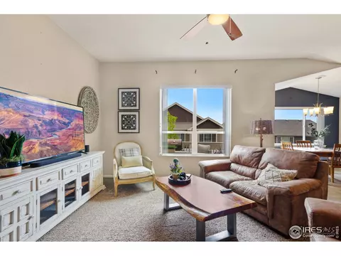 920 Mt Shavano Ave, Severance, CO 80550 photo 17