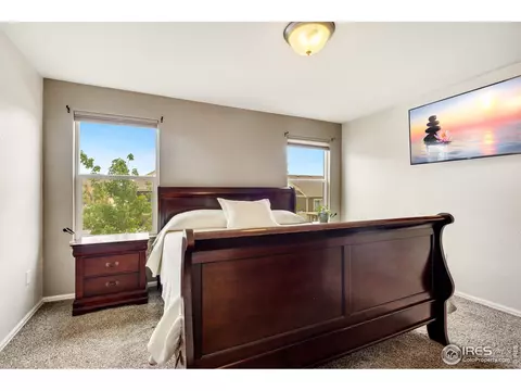 920 Mt Shavano Ave, Severance, CO 80550 photo 8
