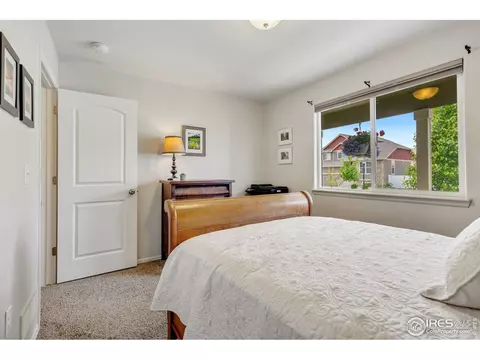 920 Mt Shavano Ave, Severance, CO 80550 photo 28