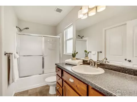 920 Mt Shavano Ave, Severance, CO 80550 photo 21