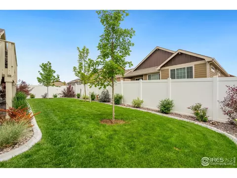 920 Mt Shavano Ave, Severance, CO 80550 photo 34