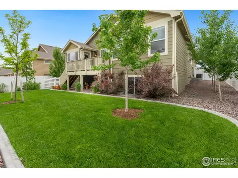 920 Mt Shavano Ave, Severance, CO 80550 photo 36