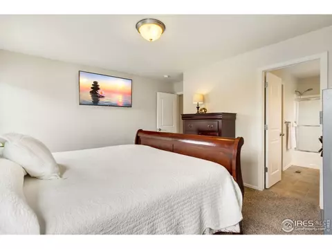 920 Mt Shavano Ave, Severance, CO 80550 photo 32