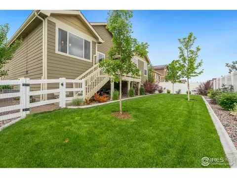 920 Mt Shavano Ave, Severance, CO 80550 photo 35
