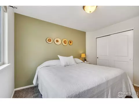 920 Mt Shavano Ave, Severance, CO 80550 photo 30