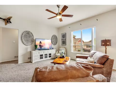 920 Mt Shavano Ave, Severance, CO 80550 photo 7