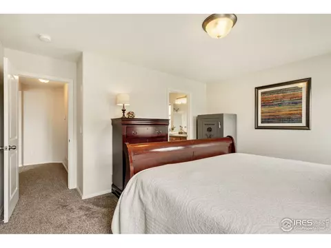 920 Mt Shavano Ave, Severance, CO 80550 photo 31