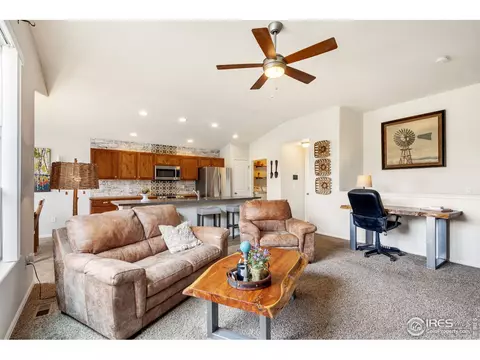 920 Mt Shavano Ave, Severance, CO 80550 photo 19