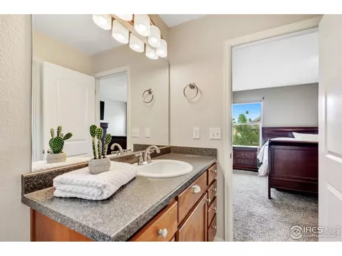 920 Mt Shavano Ave, Severance, CO 80550 photo 22