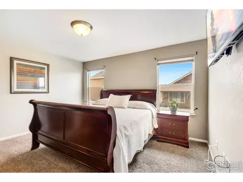 920 Mt Shavano Ave, Severance, CO 80550 photo 20
