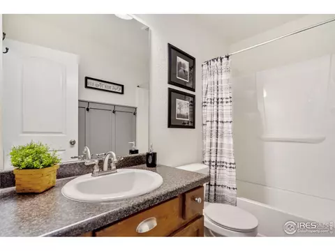 920 Mt Shavano Ave, Severance, CO 80550 photo 26