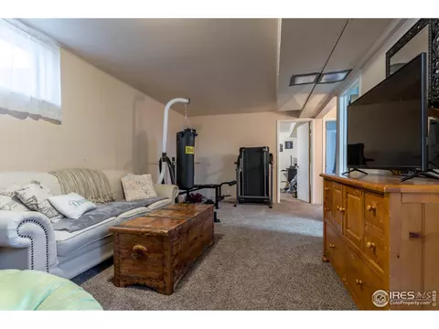 928 E 115th Pl, Northglenn, CO 80233 photo 17