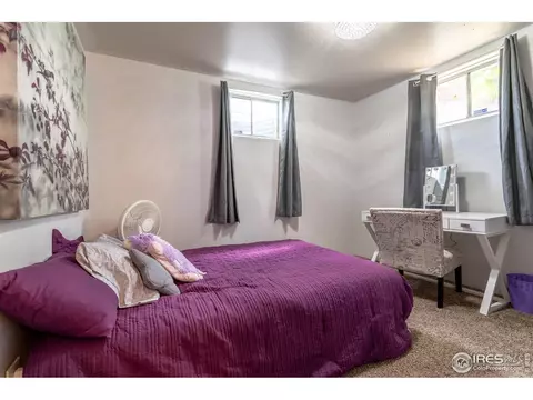 928 E 115th Pl, Northglenn, CO 80233 photo 18
