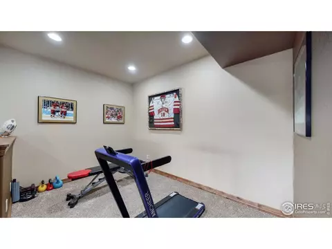4616 Pompano Dr, Windsor, CO 80550 photo 29