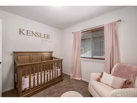 328 Torreys Dr, Severance, CO 80550 photo 20