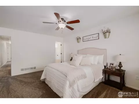 328 Torreys Dr, Severance, CO 80550 photo 18