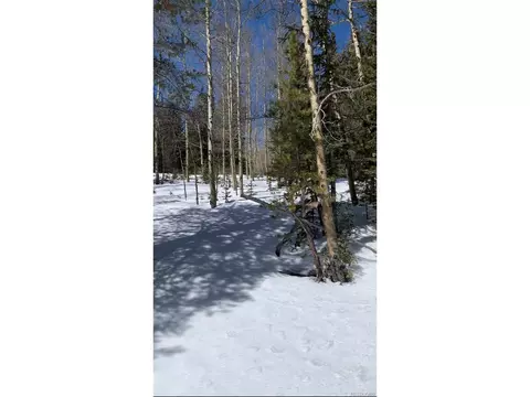 0 Forest Service Rd, Idaho Springs, CO 80452