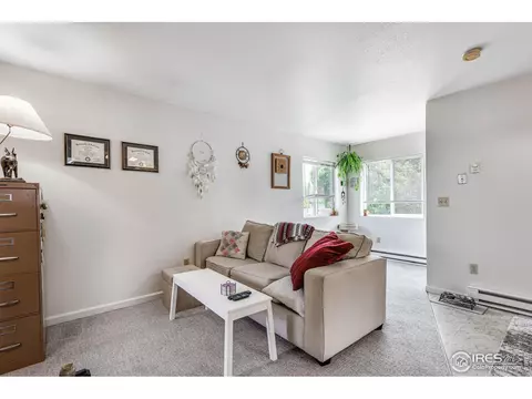 240 Park St, Lyons, CO 80540 photo 28