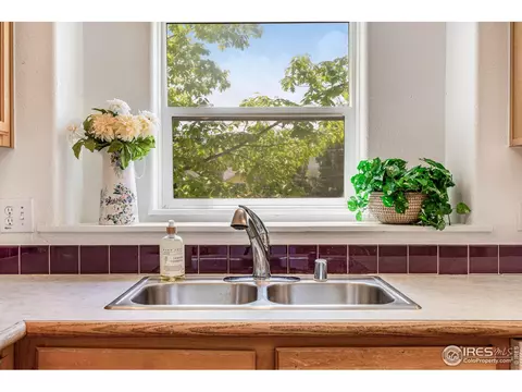 240 Park St, Lyons, CO 80540 photo 13