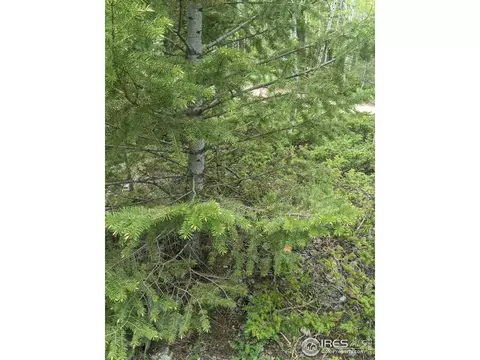 3135 Ridge Rd, Nederland, CO 80466