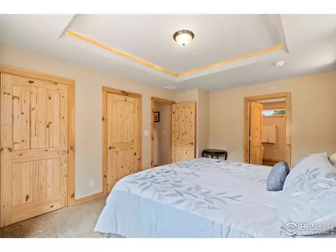 232 Saint Vrain Rd, Lyons, CO 80540 photo 21