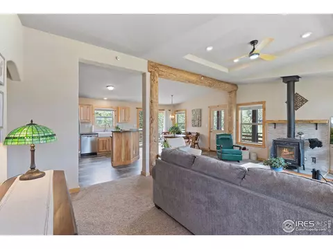 232 Saint Vrain Rd, Lyons, CO 80540 photo 9
