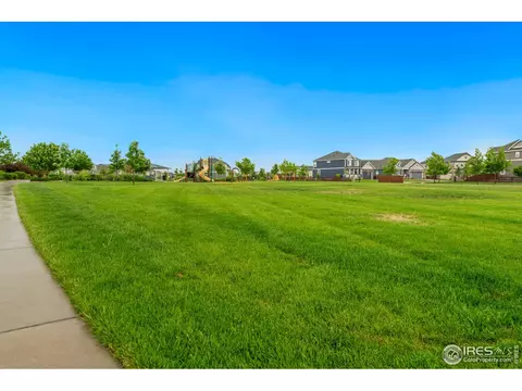 5806 Riverbluff Dr, Timnath, CO 80547 photo 25