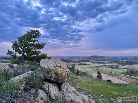 273 Granite Rdg, Laporte, CO 80535 photo 39