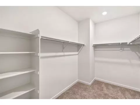 1952 Thundercloud Dr, Windsor, CO 80550 photo 18