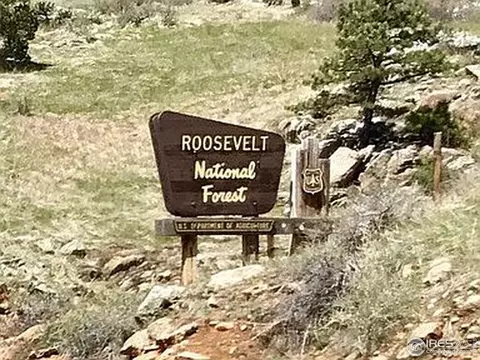 609 Riverside Dr, Lyons, CO 80540 photo 15