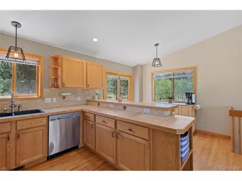 78 Twilight Terrace Dr, Bailey, CO 80421 photo 13