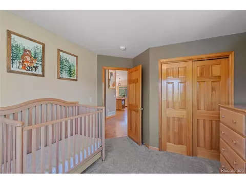 78 Twilight Terrace Dr, Bailey, CO 80421 photo 26