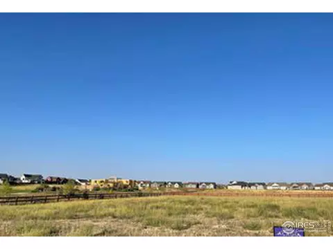 1910 Spring Bloom Dr, Windsor, CO 80550 photo 2
