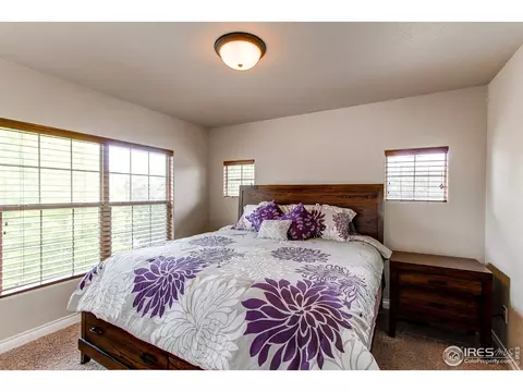5521 Fairmount Dr, Windsor, CO 80550 photo 24