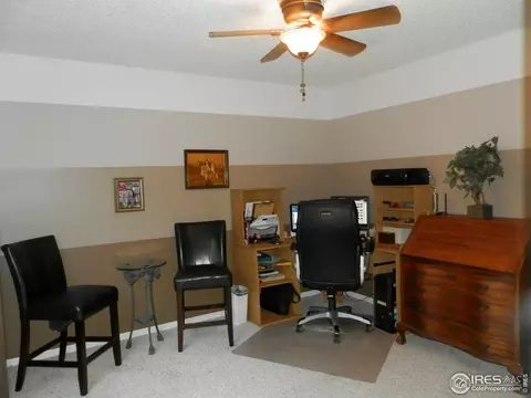 811 Douglas Pl, Berthoud, CO 80513 photo 17