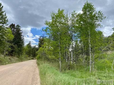 311 Hemlock Dr, Lyons, CO 80540 photo 39