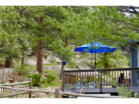 311 Hemlock Dr, Lyons, CO 80540 photo 23