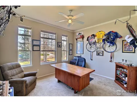 4727 Haystack Dr, Windsor, CO 80550 photo 21