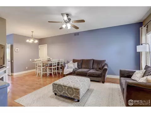 816 Cliffrose Way, Severance, CO 80550 photo 4