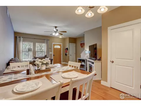 816 Cliffrose Way, Severance, CO 80550 photo 6