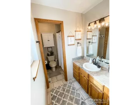 1109 Timberline Ct, Windsor, CO 80550 photo 10